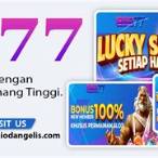 wallet slot 77